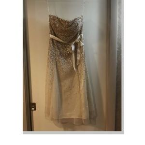 Special Occasion Dress. size XL